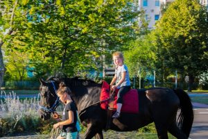 Lesenacht mit Pferd (2)