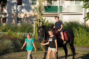 Lesenacht mit Pferd (3)
