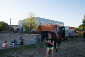 Lesenacht mit Pferd (4)