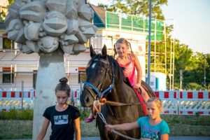 Lesenacht mit Pferd (5)