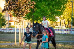 Lesenacht mit Pferd (6)